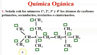 Actividades ¿Cómo dominar e identificar el carbón primario secundario terciario y cuaternario [upl. by Poppy]