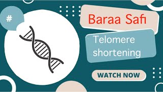 GeneticsTelomere shortening Done by Baraa safi [upl. by Tnarb]