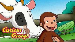 Wheres the Bath Water  Curious George  Kids Cartoon  Videos for Kids [upl. by Ynor]