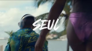 MAES  Seul Clip officiel 🎥 [upl. by Akered]