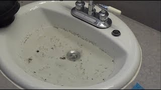 How to Unclog a Bathroom Sink [upl. by Theodosia]