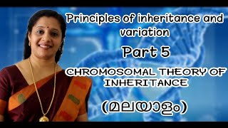 NEET Principles of Inheritance and Variations Part5 Chromosomal Theory of Inheritance Malayalam [upl. by Arlyne]