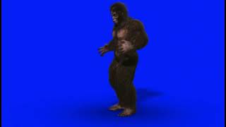 FX Guru Bigfoot Sighting On Blue Screen [upl. by Leahcimed45]