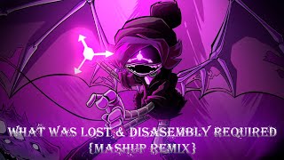 What Was Lost amp Disassembly Required Mashup Remix [upl. by Also]