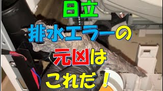 日立：ドラム式洗濯機の排水詰まりの元凶はこれだ！日立のドラム式洗濯機の排水詰まりは江戸川クリーンサポートまでご相談下さい！江戸川クリーンサポート 電話：0367634252 ＃洗濯機排水詰まり [upl. by Platus107]