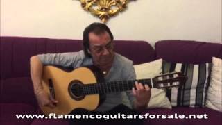 Pepe Habichuela plays his Vicente Carrillo quotPasión Flamenco Indiaquot flamenco guitar for sale [upl. by Etteoj]