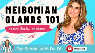 Meibomian Glands 101  Eye Doctor Explains [upl. by Dde]