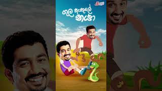 Gula Athule Naya ගුල ඇතුලේ නයා  Chooty Malli Podi Malli  shorts [upl. by Carman19]