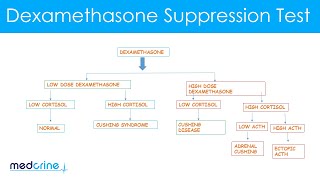 Dexamethasone Suppression Test How it is done and interpretation of the findings [upl. by Walsh623]