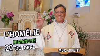 Homélie Mgr Aupetit 20 octobre 2024 [upl. by Zerk620]