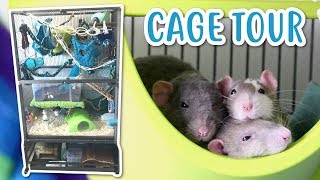 RAT CAGE TOUR [upl. by Pacian]