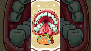 From Mouth to Colon The Journey of Food Through the Digestive System [upl. by Dorey]