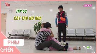 Ghiền Phim  Cây Táo Nở Hoa Tập 68 Báu hạnh phúc khi chồng tới thăm Phước lặng lẽ làm bóng đèn [upl. by Ennayr145]