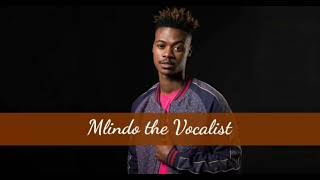 Mlindo The Vocalist Impil imile [upl. by Aikcir]