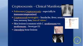 Microbiology 588 a Cryptococcus neoformans Cryptococcosis Cryptococcal meningitis Mycology Gattii [upl. by Haggai]