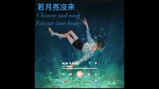 Chinese sad song 若月亮沒来 fat cat one hour🦋 [upl. by Cromwell]