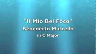 Il Mio Bel Foco Instrumental [upl. by Stern]