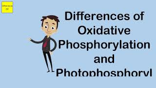 Differences of Oxidative Phosphorylation and Photophosphorylation [upl. by Ajidahk]