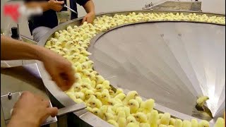 Comment une ferme avicole fabrique des millions doeufs une ferme de poulets moderne  Technologie [upl. by Emoraj]