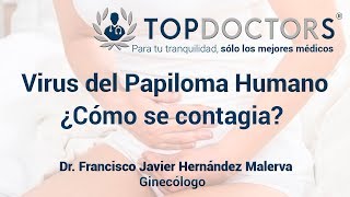 Virus del Papiloma Humano ¿Qué es y cómo se contagia [upl. by Aicert]