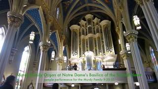 Murdy Family Organ at Notre Dames Basilica of the Sacred Heart [upl. by Salkcin583]