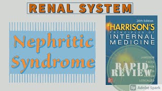 NEPHRITIC SYNDROME  Causes  Pathophysiology  Treatment  Rapid Review  Harrison [upl. by Marji]