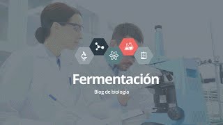 Fermentación [upl. by Odlawso]