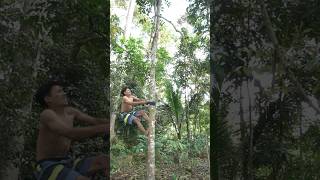 Climbing trees makes it easy SURVIVAL skills🔥 camping survival bushcraft outdoors lifehack [upl. by Ainesej]