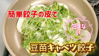 簡単餃子の皮で包まない豆苗キャベツ餃子／手抜き時短節約レシピ [upl. by Constantine111]