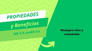 Propiedades y beneficios de la endivia una achicoria agradable para el paladar [upl. by Anrim]