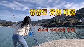 낚시대를 끌고 들어가는 5짜 대물이 돌아다니는 무료방파제 [upl. by Annuhsal]