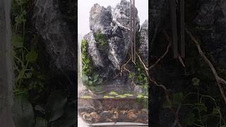 Waterfall terrarium build [upl. by Ahsikym]