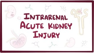 Intrarenal acute kidney injury acute renal failure  causes symptoms amp pathology [upl. by Ursala]