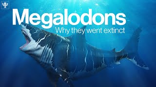 The Truth Behind Why Megalodon Went Extinct  Encyclopaedia Britannica [upl. by Watt802]