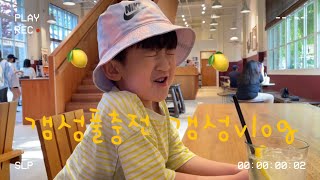 시몬스테라스 갬성vlog [upl. by Assenahs]