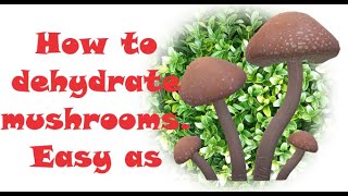 How to dehydrate mushrooms [upl. by Keviv]