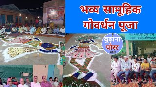 Budhana Nagar Panchayat की गौशाला में भव्य सामूहिक गोवर्धन पूजा । देखें वीडियो। [upl. by Atirehs139]