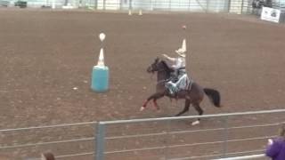 Christina Seemiller Colorado Mounted Thunder Colorado State Championship Mounted Shooting Event [upl. by Ninerb]