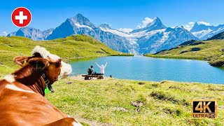 Heavenly Switzerland  Bachalpsee  Alpine Lake In Grindelwald [upl. by Bowers526]