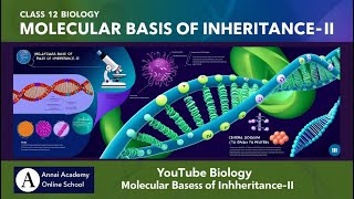 Unlocking DNA The Molecular Secrets of Inheritance Revealed [upl. by Newby]