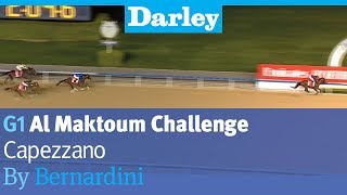 Capezzano by Bernardini wins the G1 Al Maktoum Challenge R3 at Meydan [upl. by Kier193]