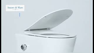 Wall hung rimless toilet Temo Bidet P322X [upl. by Aissatsana]