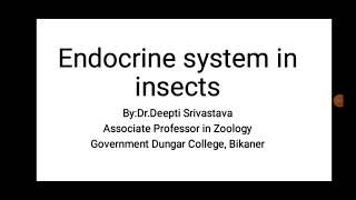 Endocrine system in insects [upl. by Landau764]