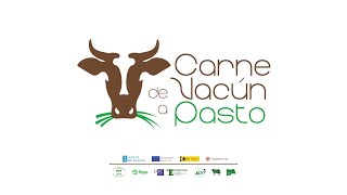 Vacún de carne a pasto Grupo Operativo [upl. by Ericka744]