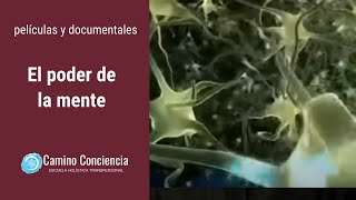 El PODER de la MENTE  FÃSICA CUÃNTICA  Camino Conciencia [upl. by Ursuline]