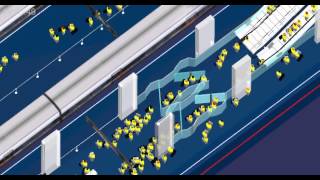 CAST Pedestrian Flow Simulation  Revolving Doors on a platform [upl. by Tahpos792]