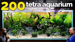 The Tetra Jungle Aquarium EPIC 4ft 200 Fish Tank Aquascape Tutorial [upl. by Sybilla]