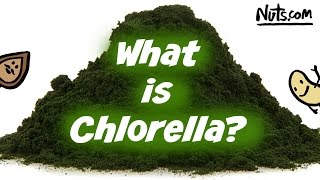 Health Benefits of Chlorella  Easy to Use Superfood [upl. by Laurinda]