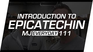 What Is Epicatechin amp What Does It Do  MJ Everyday 111 [upl. by Clancy996]