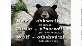 Oneida Language Charlie the Talking Oneida Bear Shekoli [upl. by Bahner899]